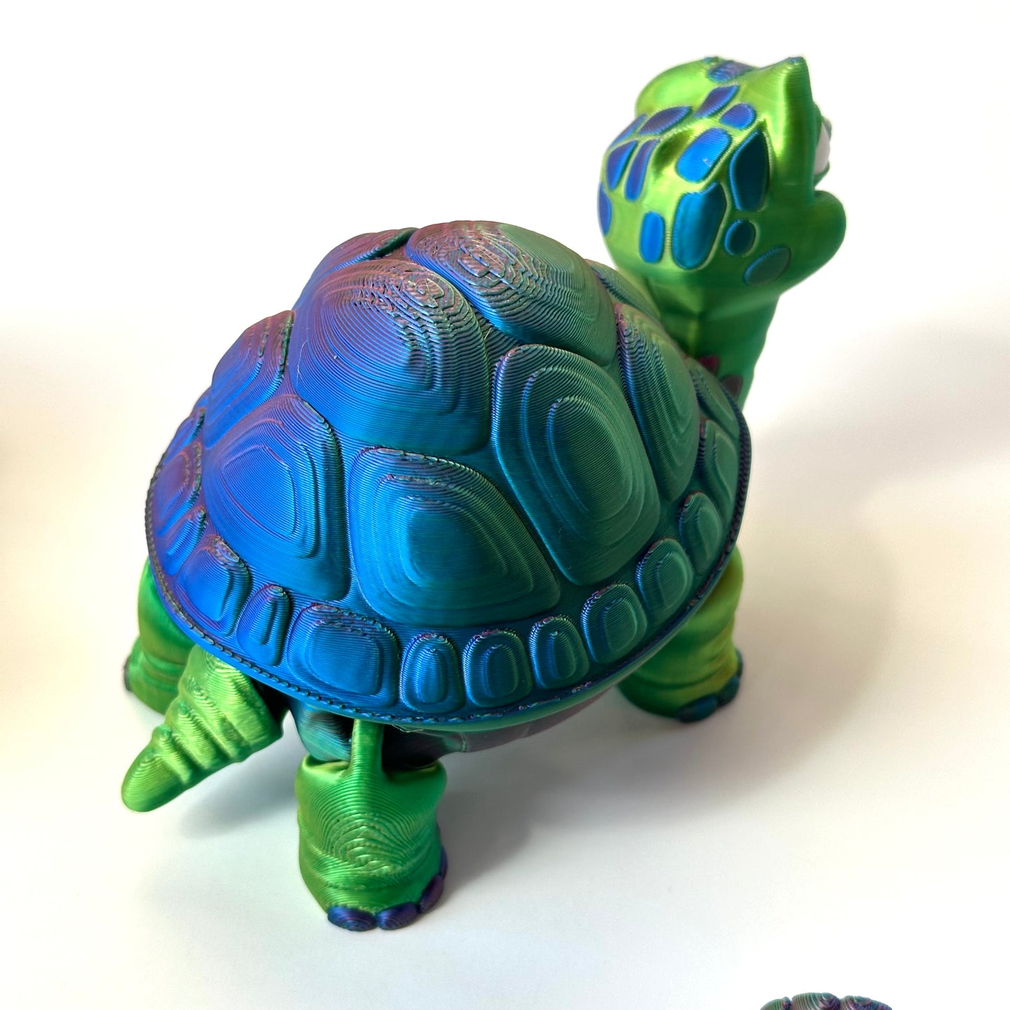 Flexi Turtle Box - Multi-Color 3D Printed Figure