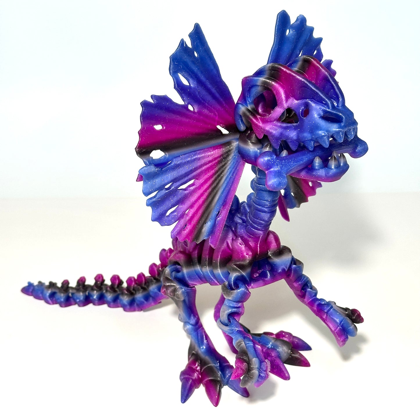 Giant Skeleton Dilophosaurus - 3D Printed Articulating Figure