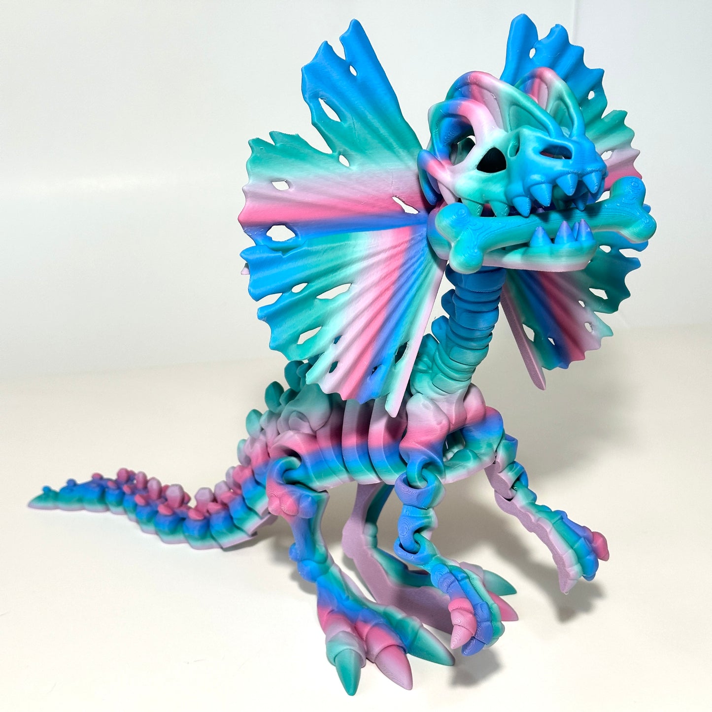 Giant Skeleton Dilophosaurus - 3D Printed Articulating Figure
