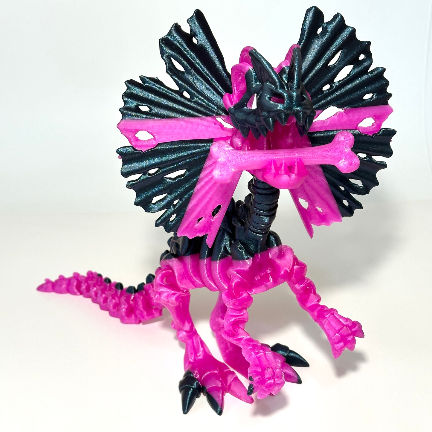 Giant Skeleton Dilophosaurus - 3D Printed Articulating Figure