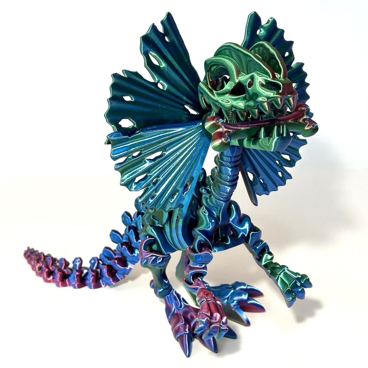 Giant Skeleton Dilophosaurus - 3D Printed Articulating Figure
