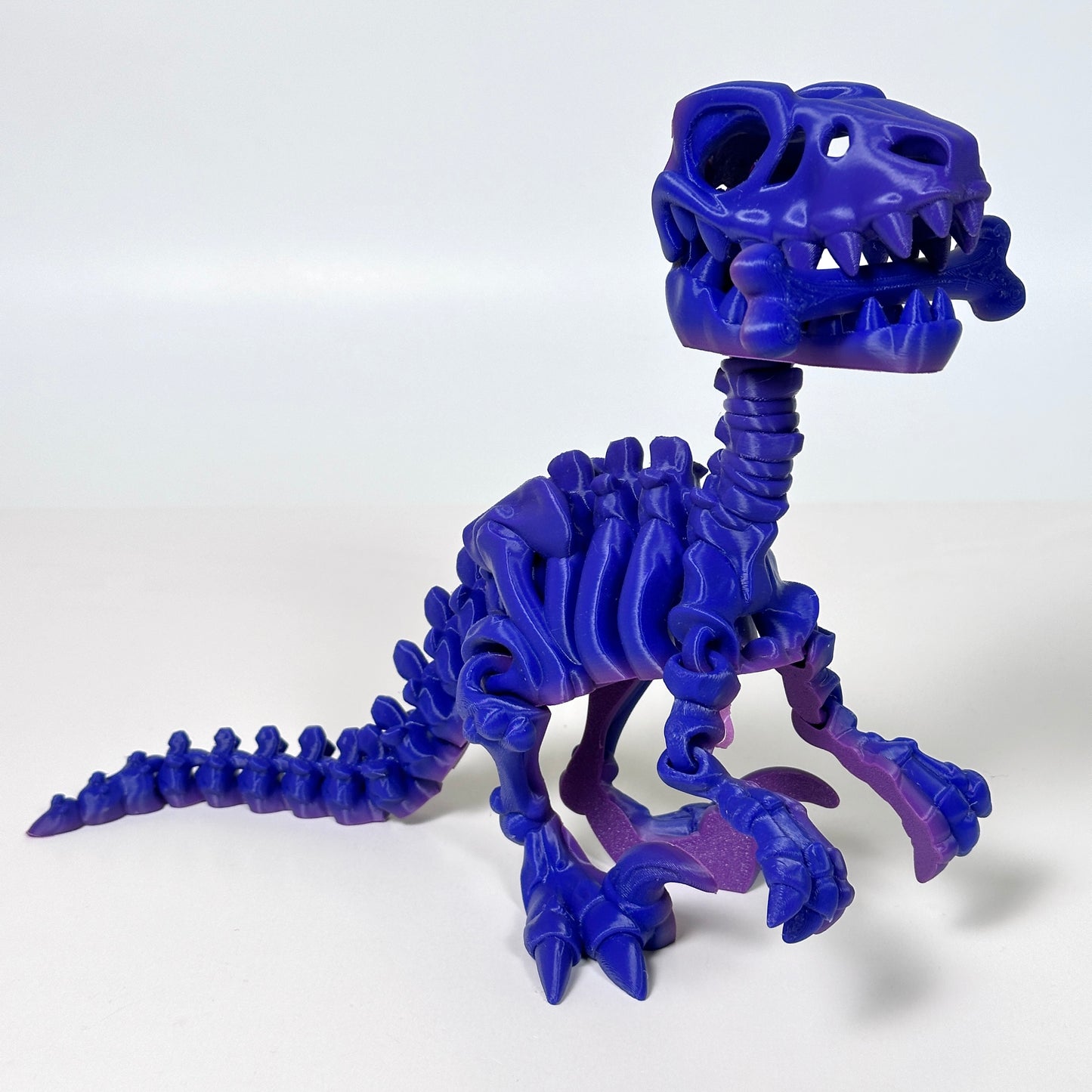 Giant Flexi Skeleton Raptor - 3D Printed Articulating Figure