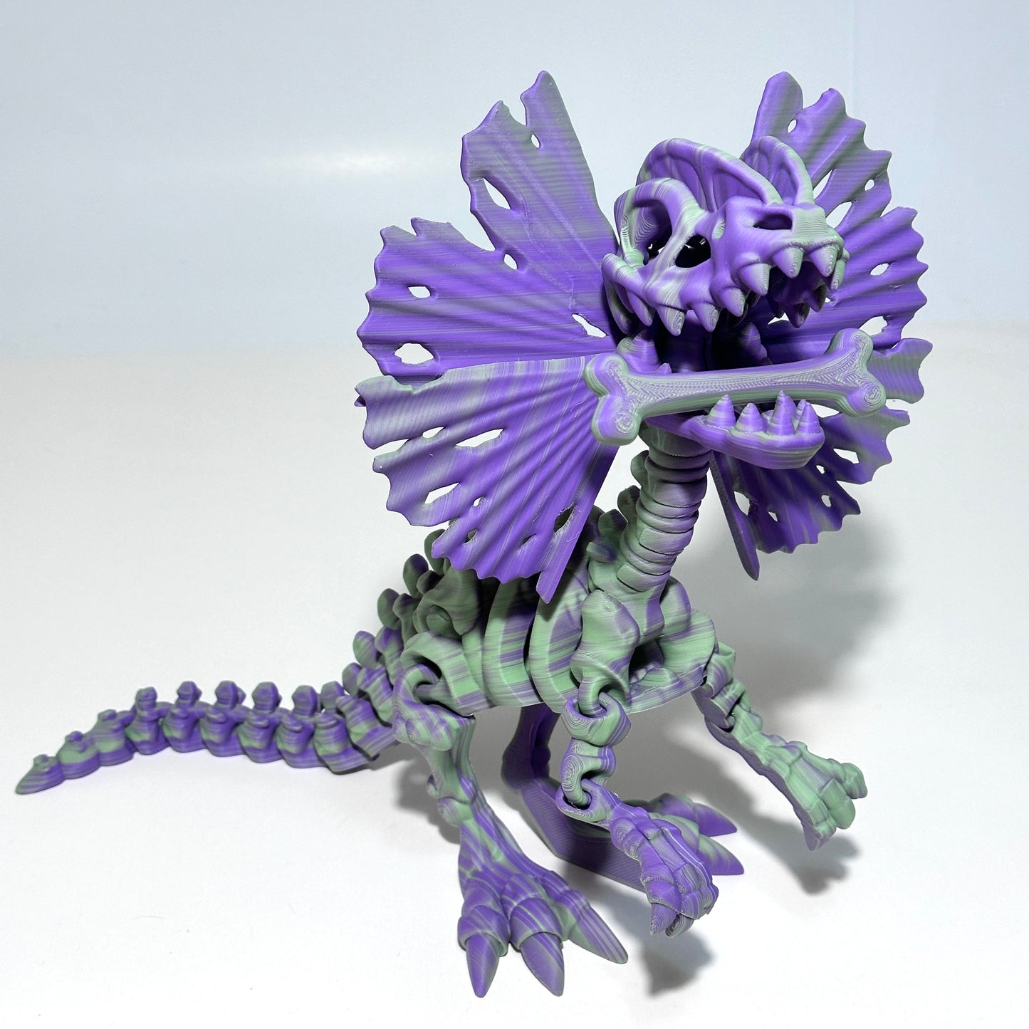 Giant Skeleton Dilophosaurus - 3D Printed Articulating Figure