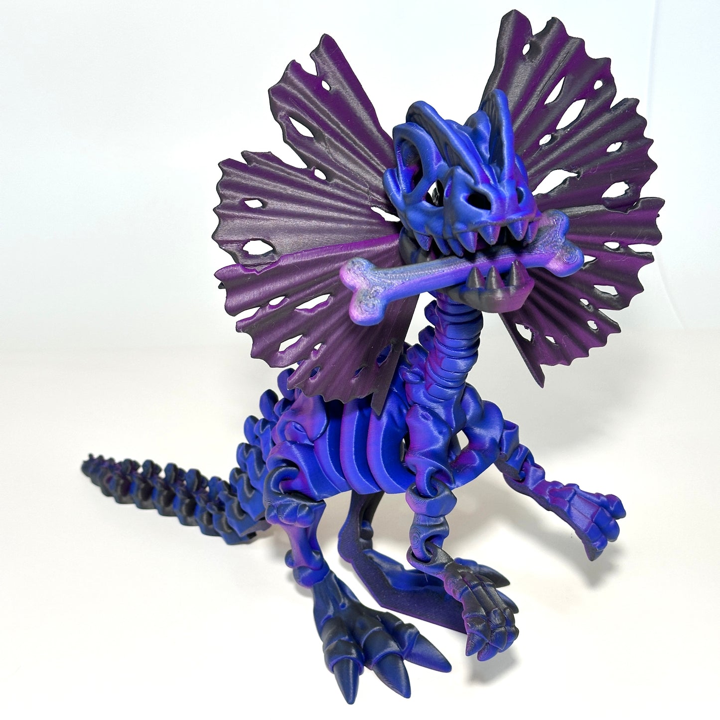 Giant Skeleton Dilophosaurus - 3D Printed Articulating Figure