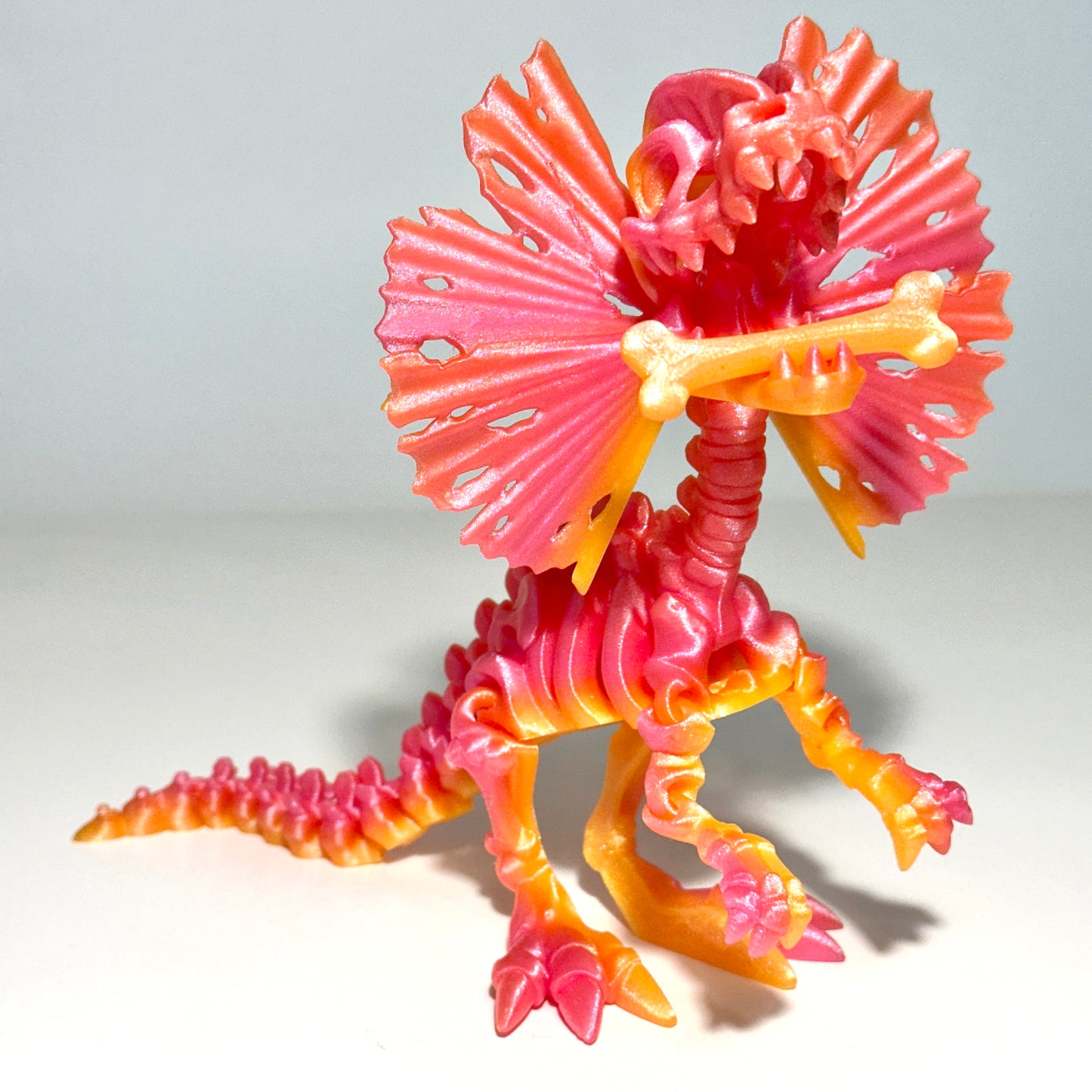 Skeleton Dilophosaurus - 3D Printed Articulating Figure