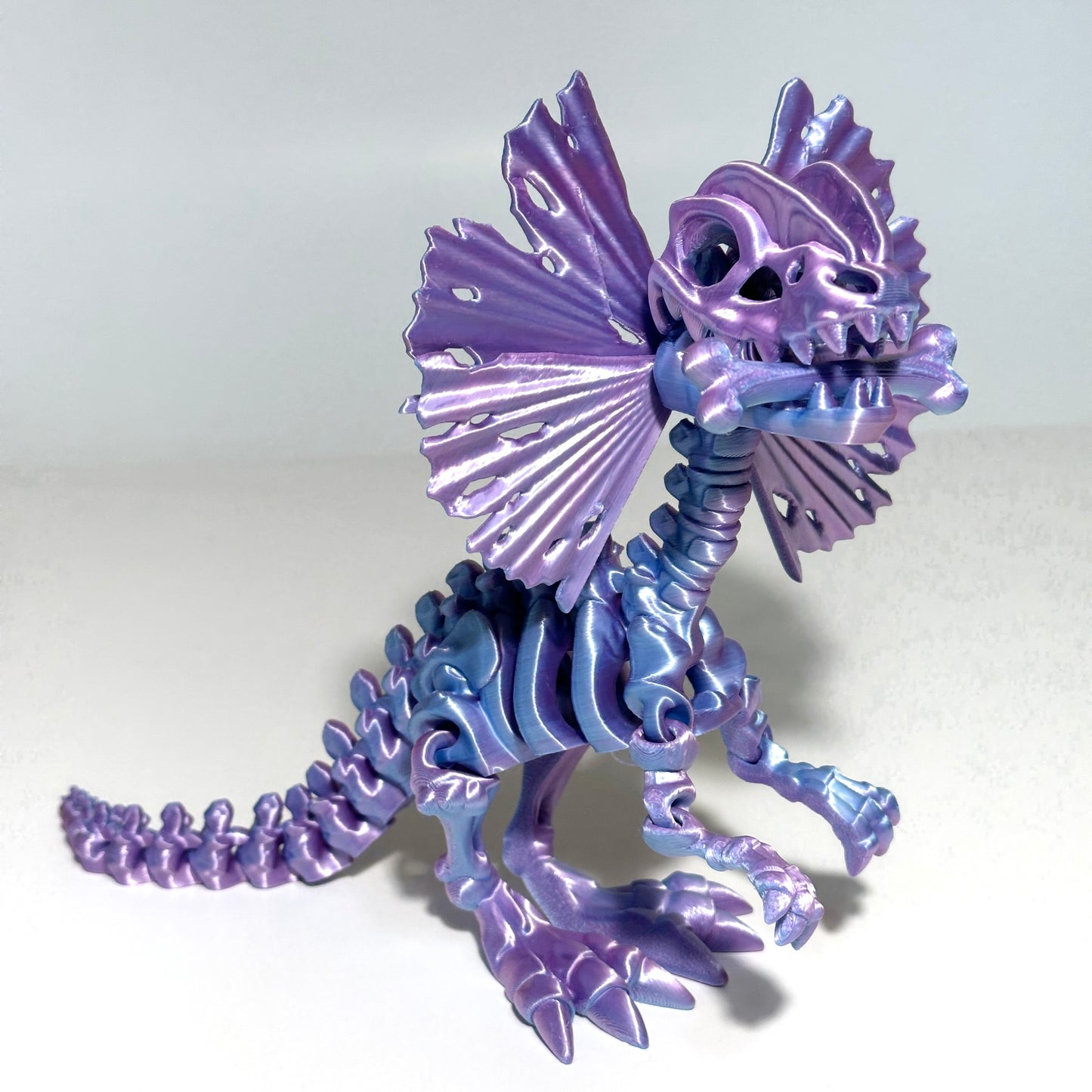 Skeleton Dilophosaurus - 3D Printed Articulating Figure