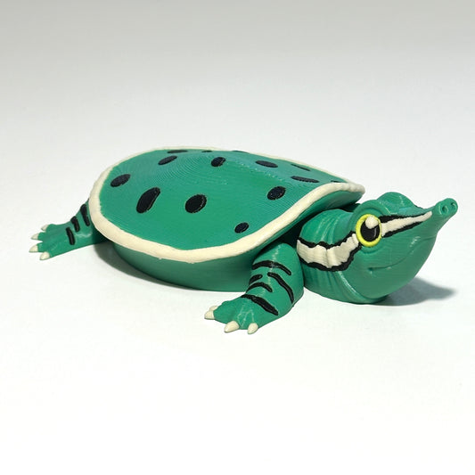 Soft Shell Turtle - 3D Printed Articulating Figure