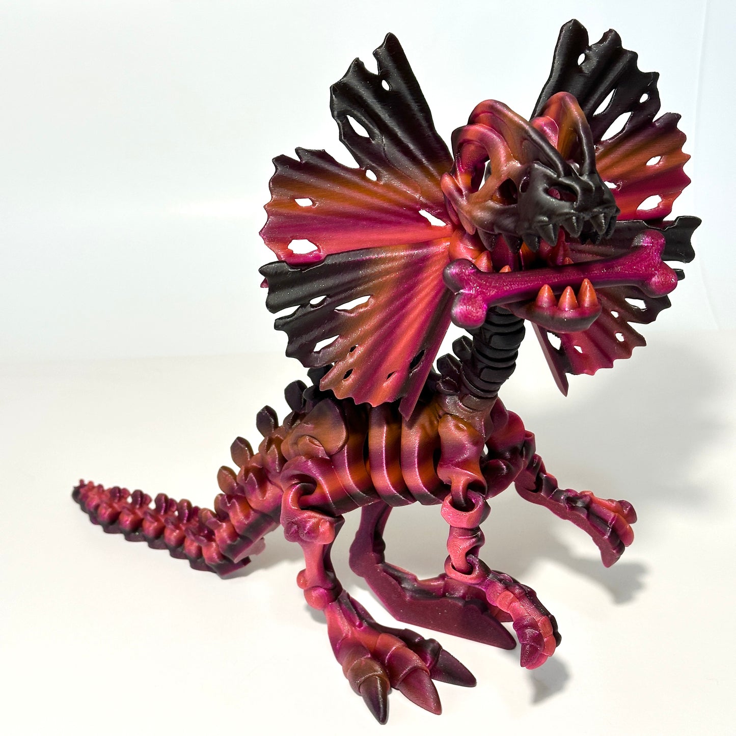 Giant Skeleton Dilophosaurus - 3D Printed Articulating Figure