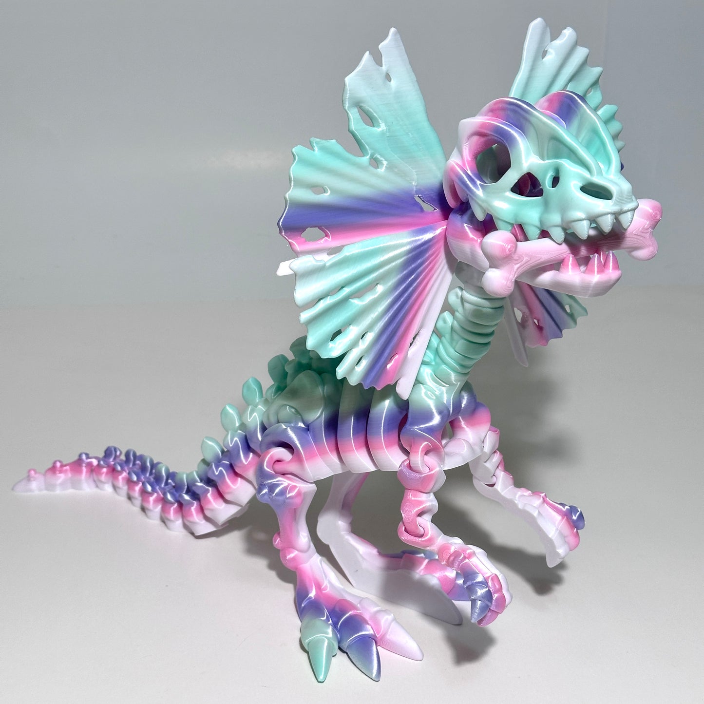 Giant Skeleton Dilophosaurus - 3D Printed Articulating Figure