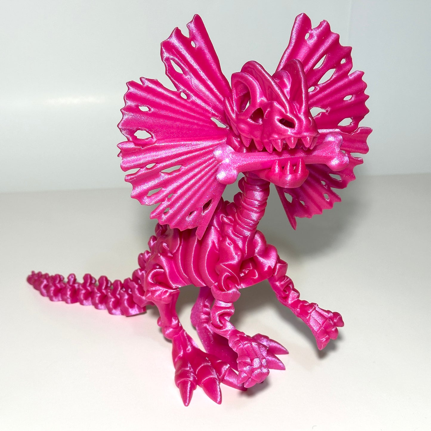 Giant Skeleton Dilophosaurus - 3D Printed Articulating Figure