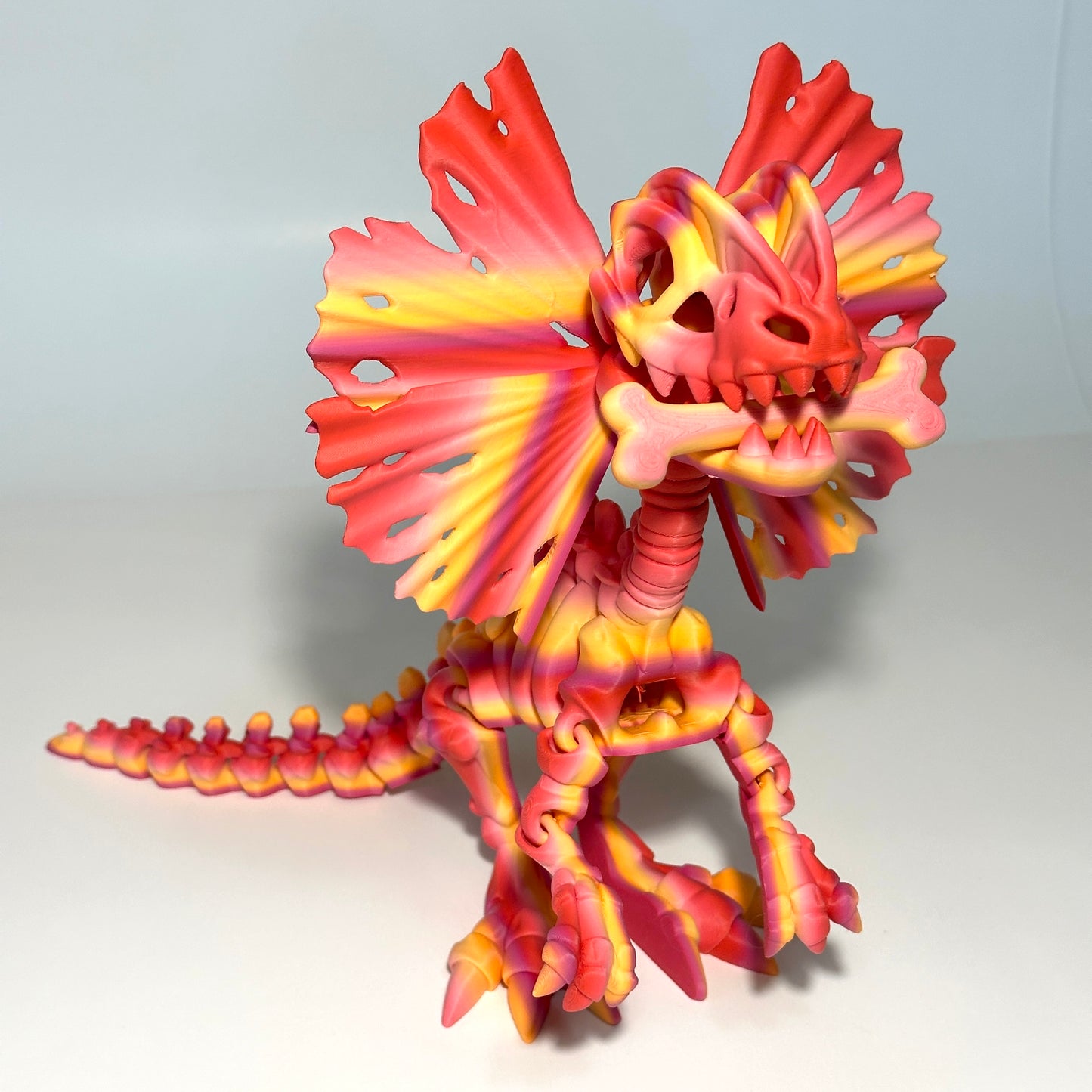 Giant Skeleton Dilophosaurus - 3D Printed Articulating Figure