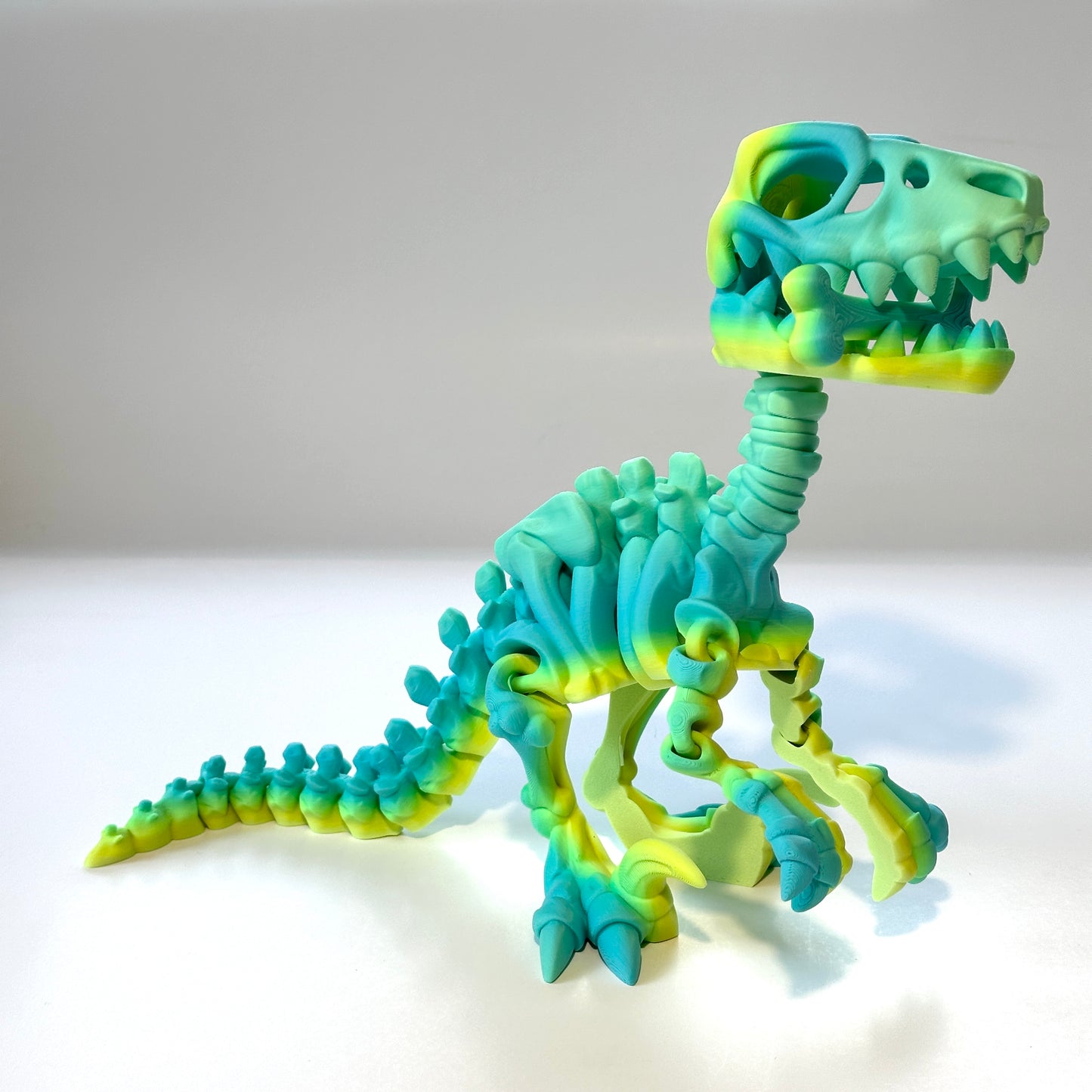 Giant Flexi Skeleton Raptor - 3D Printed Articulating Figure