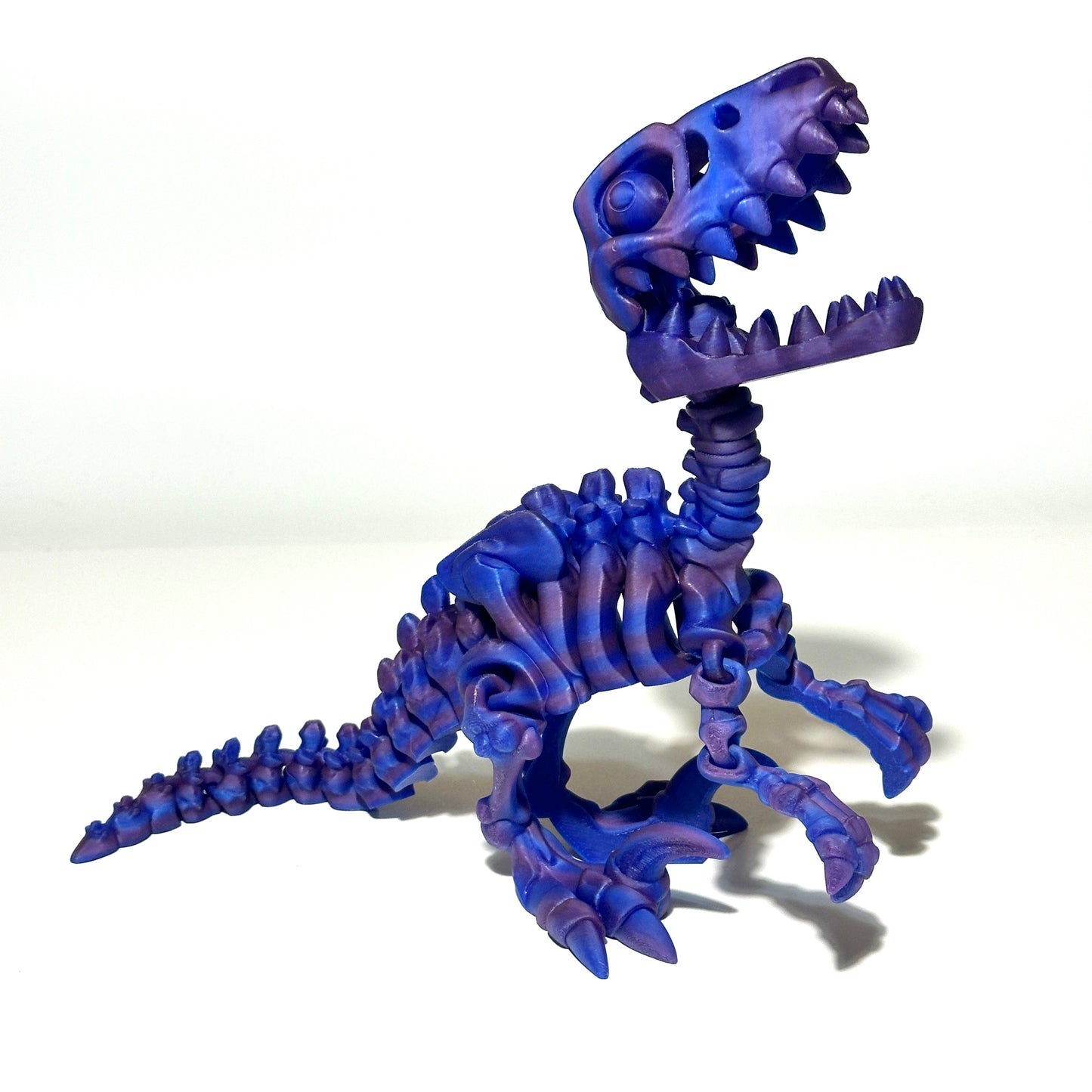 Giant Flexi Skeleton Raptor - 3D Printed Articulating Figure